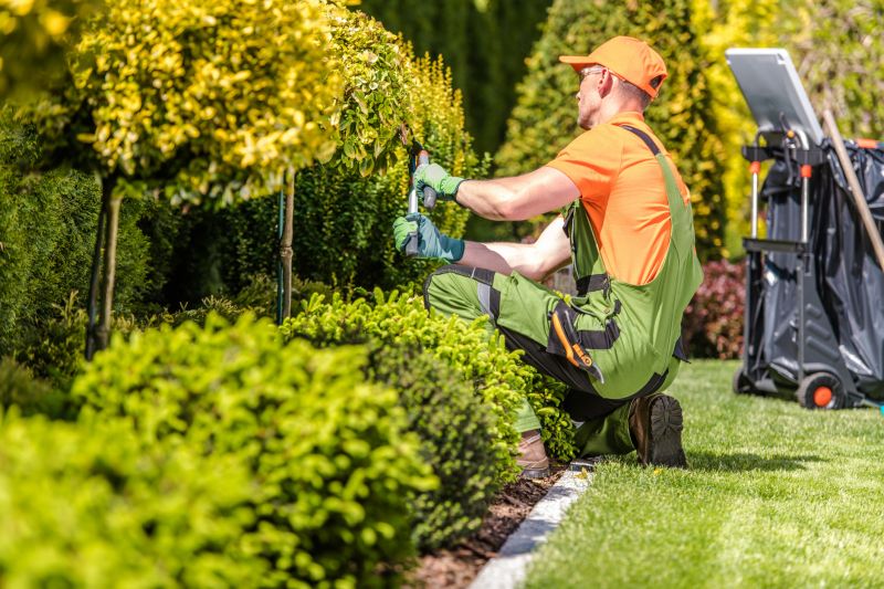 Field Hedge Trimming