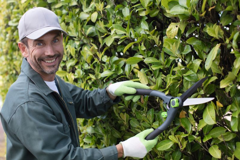 Field Hedge Trimming