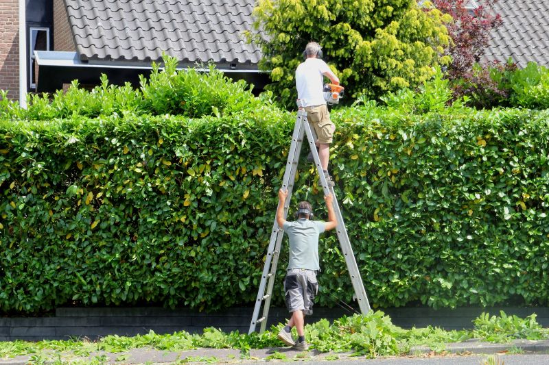 Field Hedge Trimming