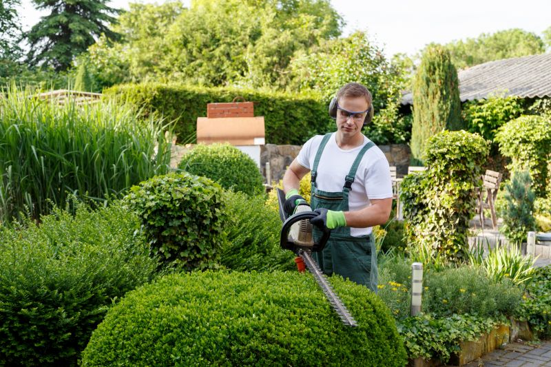 Field Hedge Trimming
