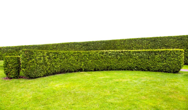 Healthy Field Hedges
