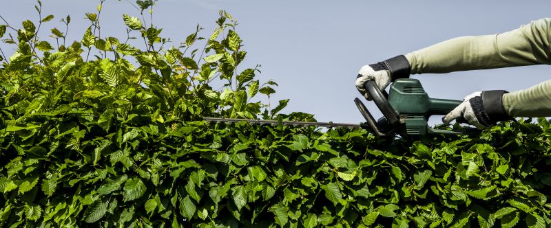Hedge Trimming Equipment