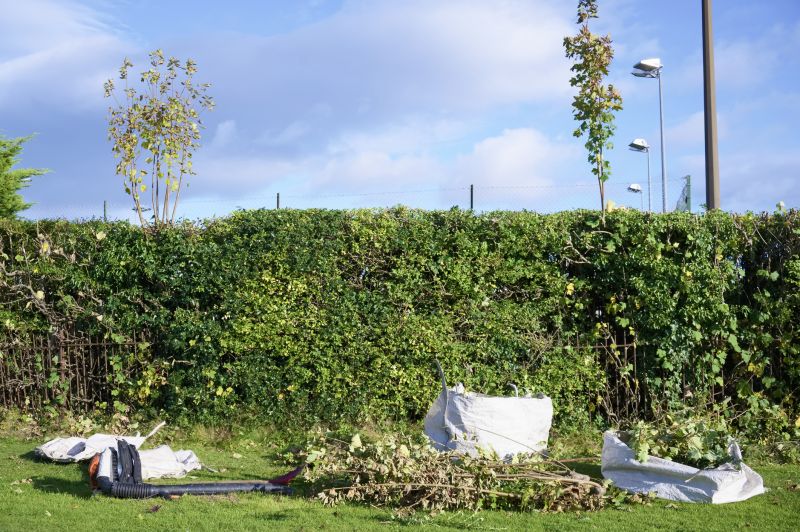 Healthy Hedge Growth