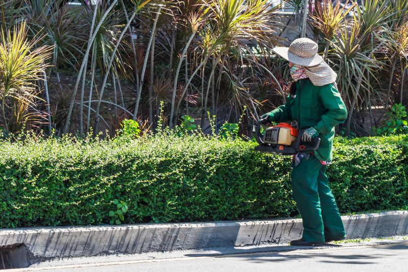 Local Field Hedge Trimming pros at work